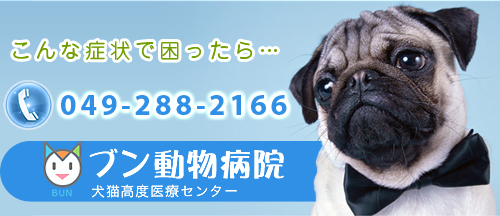 こんな症状で困ったら049-288-2166まで