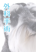 外科手術