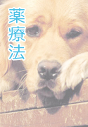 薬療法